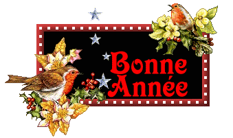 bonne annee