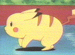 pikarum